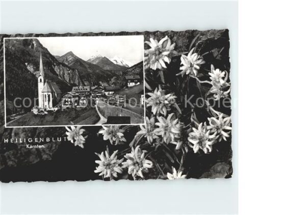 Heiligenblut Kaernten Ortsansicht mit Kirche Edelweiss