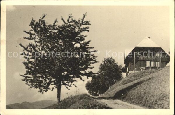 Elbenschwand Ferienhaus Schwarzwald