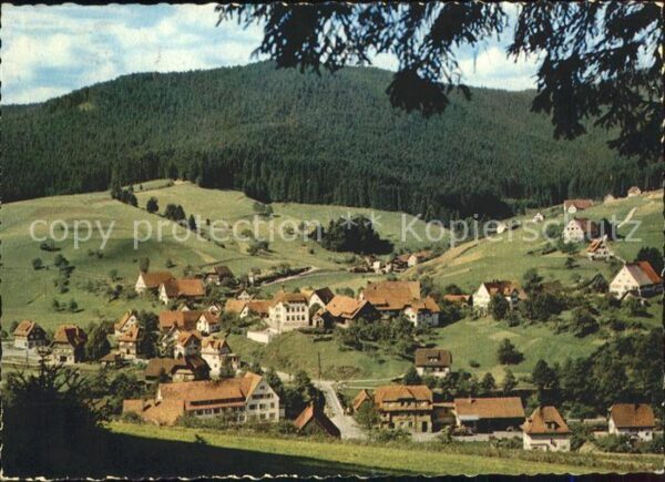 Roet Baiersbronn Ansicht mit Kinderkurheim Am Berg Murgt