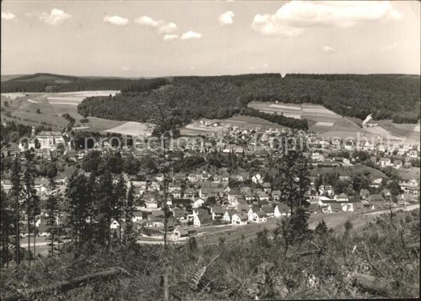 Bad Berleburg Panorama