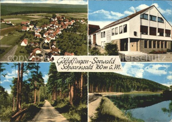 Goettelfingen Seewald Schwarzwald Fliegeraufnahme Waldpartie See