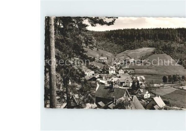 Enzkloesterle Höhenluftkurort Gasthof zum Enzursprung