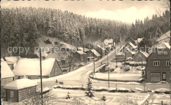 Tanne Harz Waldstrasse