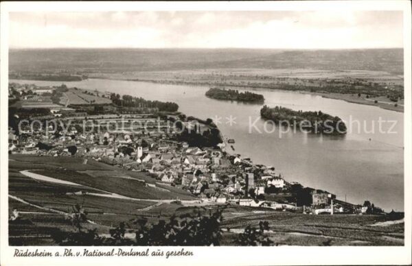 Ruedesheim Rhein vom National-Denkmal gesehen