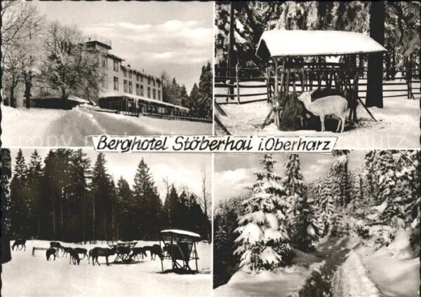 Walkenried Berghotel Stöberhai Wild
