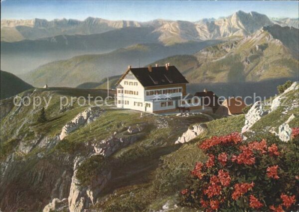 Rotwandhaus gegen Rofan und Guffert Alpenflora Alpe