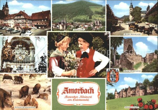 Amorbach Miltenberg Markt Kirche Orgel Ruine Schloss Schwar