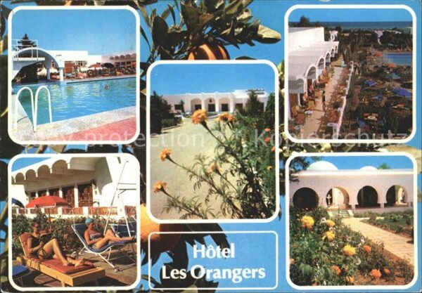 Hammamet Hotel Les Orangers Swimming Pool