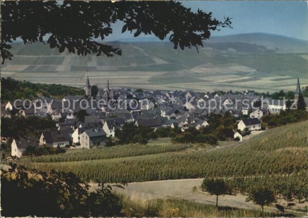 Veldenz Panorama