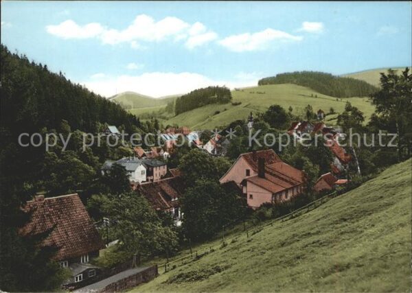 Altenau Harz Mühlenberg