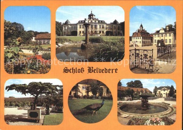 Weimar Thueringen Schloss Belvedere Pfau