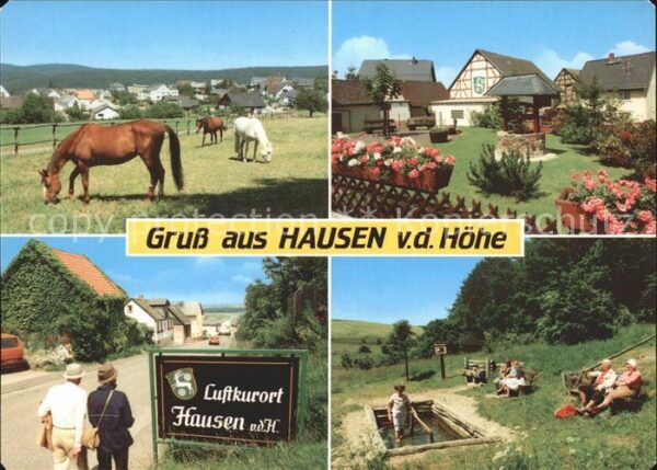 Hausen Hoehe Pferde Wassertreten