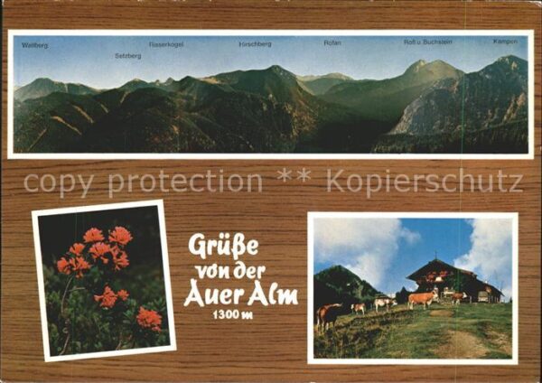 Bad Wiessee Berggasthof Auer Alm Walberg Setzberg H