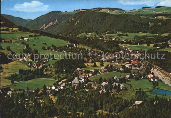 Hinterzarten Fliegeraufnahme