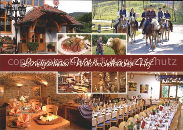 Bessenbach Landgasthaus Waldmichelbachr Hof Pferde