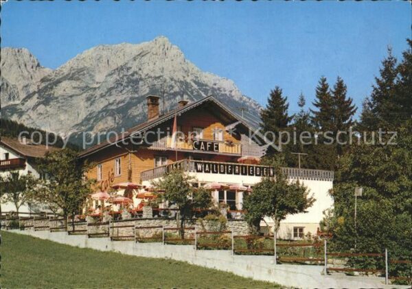 Scheffau Wilden Kaiser Cafe Pension Waldfrieden