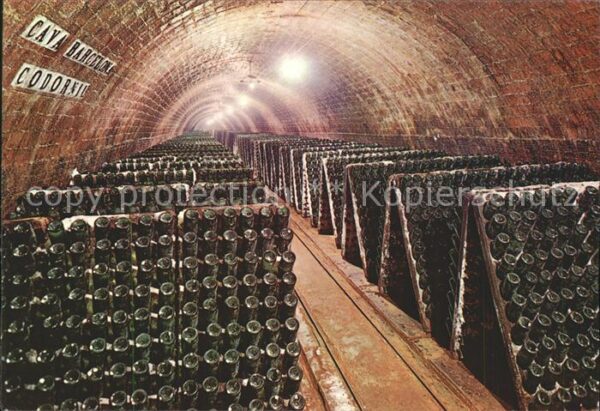 Barcelona Cataluna Cavas Codorniu Botellas en pupitre