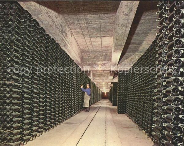 Barcelona Cataluna Cavas Codorniu Botellas envejeciendo