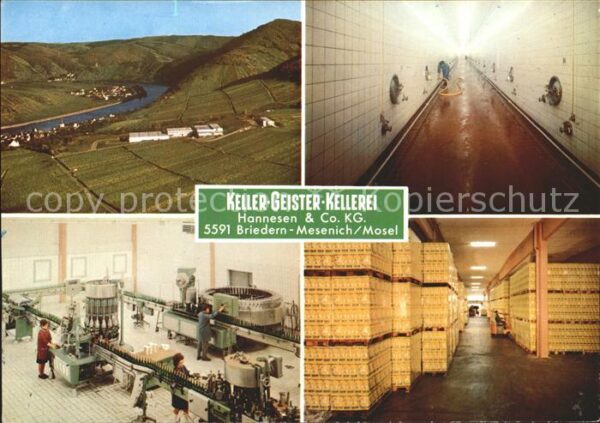 Mesenich Sauer Keller Geister Kellerei Lagerkeller Abf