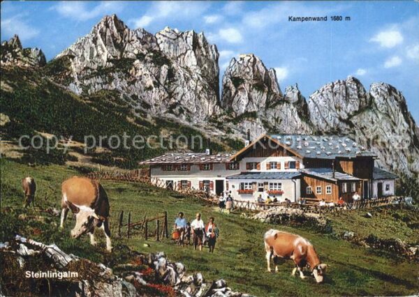 Aschau Chiemgau Steinlingalm Kampenwand Kühe