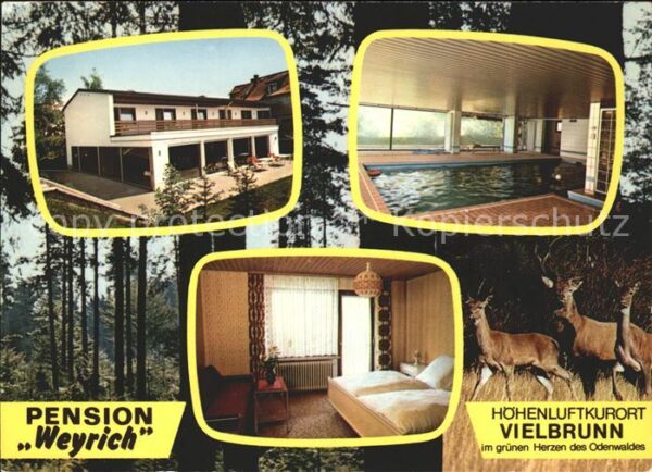 Vielbrunn Pension Weyrich Höhenluftkuroft Reh