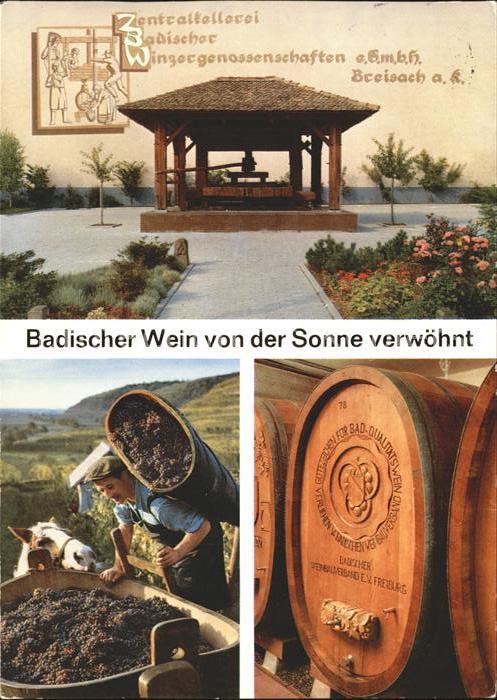 Breisach Rhein Zentralkellerei Badischer Winzergenosse