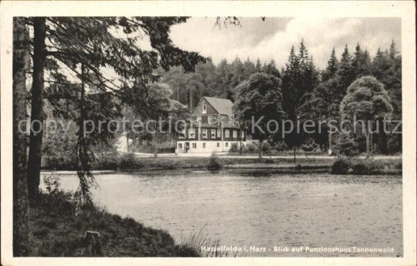 Hasselfelde Pensionshaus Tannenwald Weiher