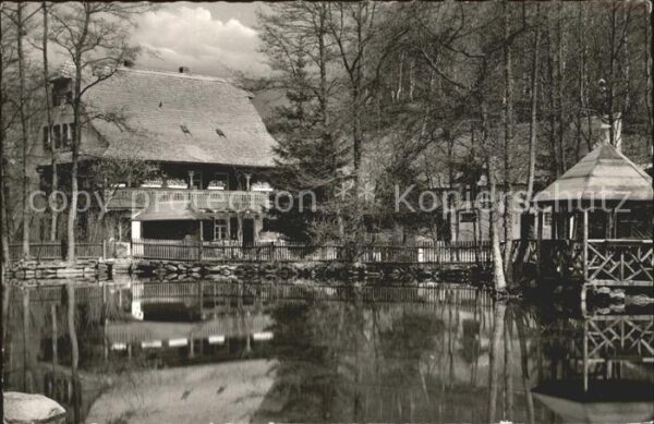 Steinwald Kellermühle am Steinwald
