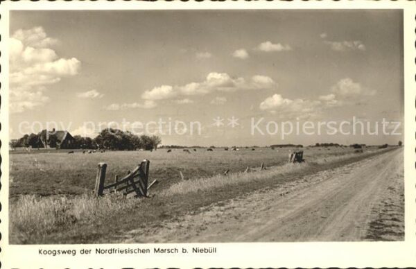 Niebuell Koogsweg der Nordfriesischen Marsch