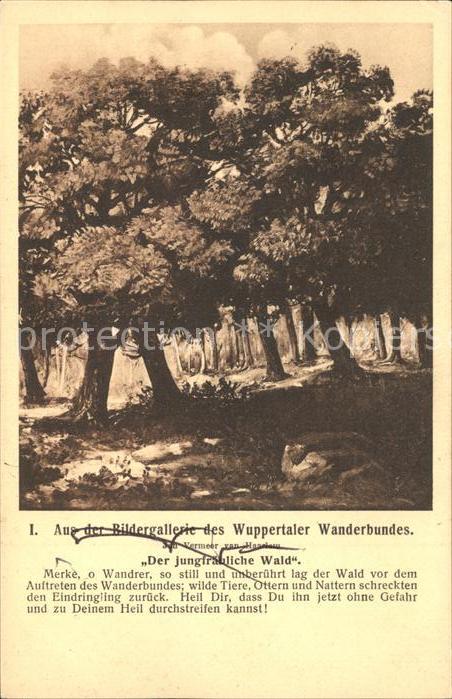 Wuppertal Jungfräulicher Wald aus Bildergalerie W