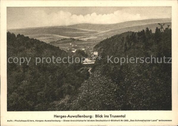 Brotterode Herges_Auwallenburg Blick ins Trusental