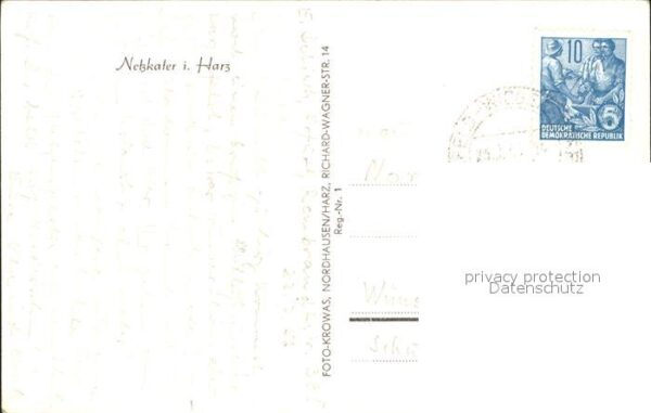 Netzkater Restaurant – Bild 2
