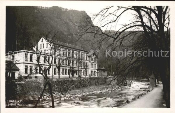 Thale Harz Hotel Waldkater