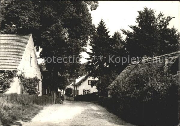 Ferch Dorfstrasse