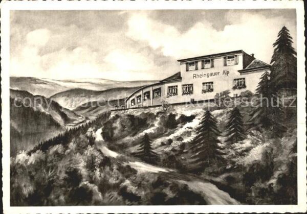 Presberg Rheingau Gasthaus Pension Rheingauer Alp