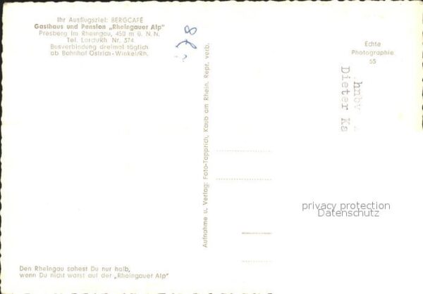 Presberg Rheingau Gasthaus Pension Rheingauer Alp – Bild 2