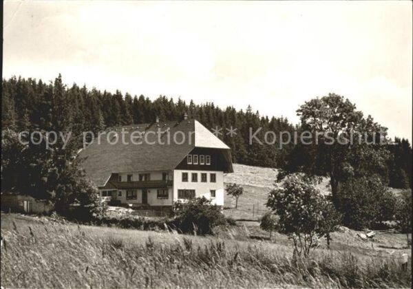 Schoenwald Schwarzwald Haus Familie Kienzler