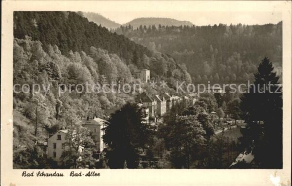 Bad Schandau Bad Allee