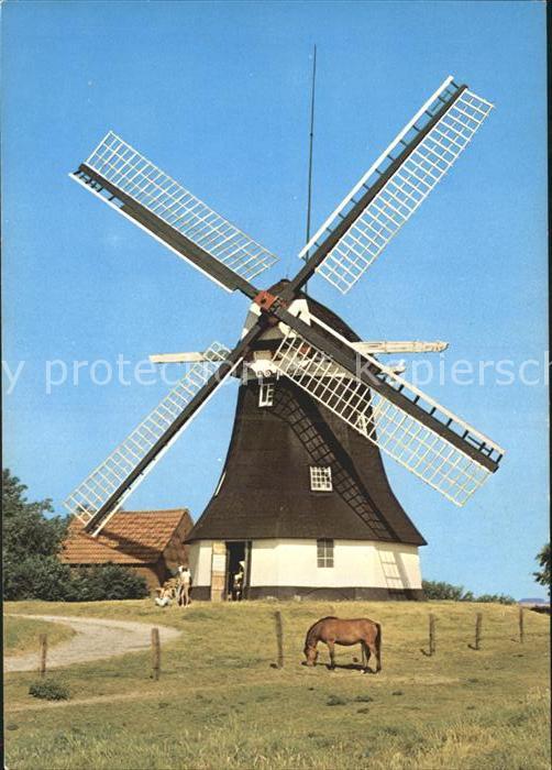 Werdum Holländische Mühle
