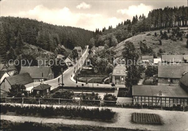 Tanne Harz