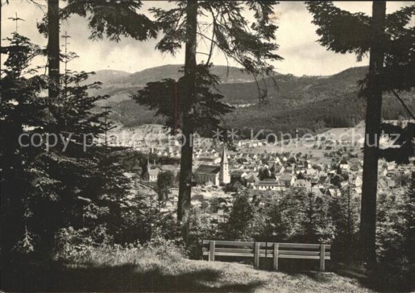 Zell Harmersbach Badischer Schwarzwald Am Talblick