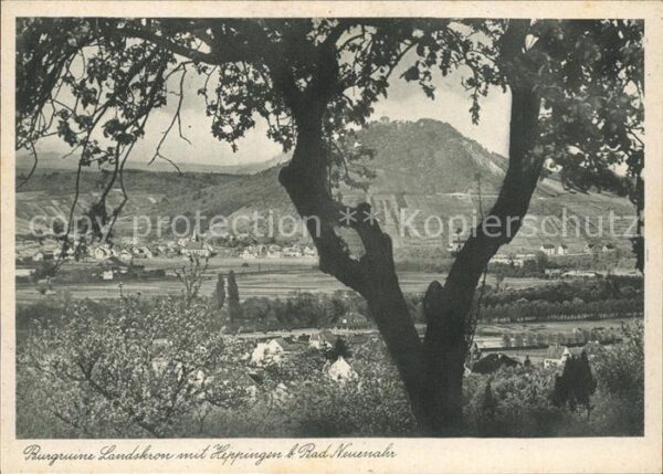Bad Neuenahr-Ahrweiler Burgruine Landskron mit Hippingen