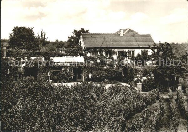 Koenigsbach Weinstrasse Kilianshof Gasthaus Pension