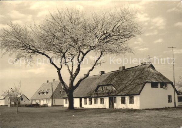 Neuendorf Hiddensee Häuser