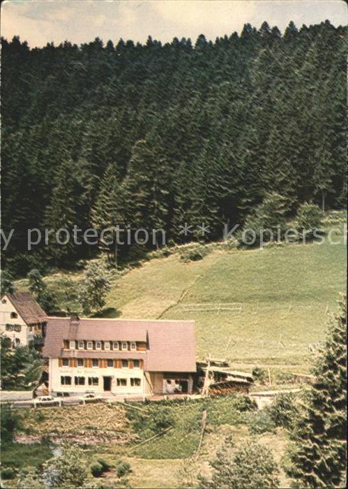 Besenfeld Gasthaus Pension Forelle