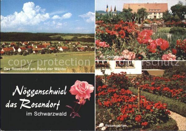 Noeggenschwiel Rosendorf