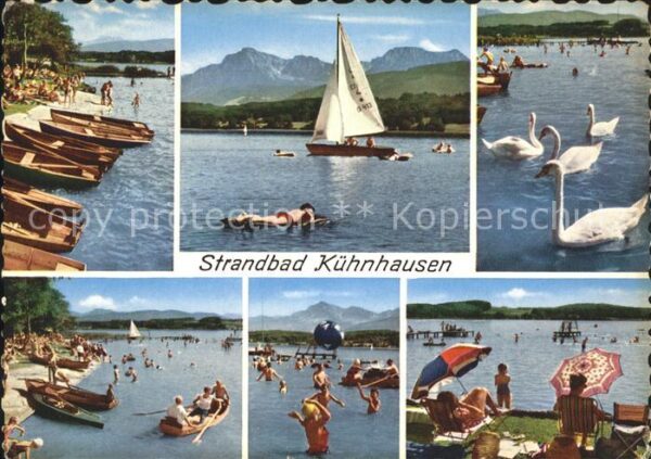 Kuehnhausen Waginger See Strandbad Hochstaufen Zwiesel Schwäne S