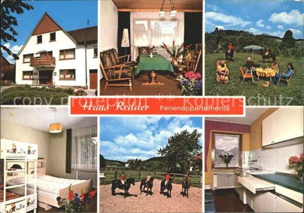Alhausen Westfalen Haus Redder Pferde