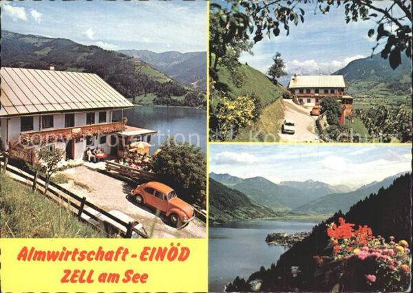 Zell See Almwirtschaft Einöd