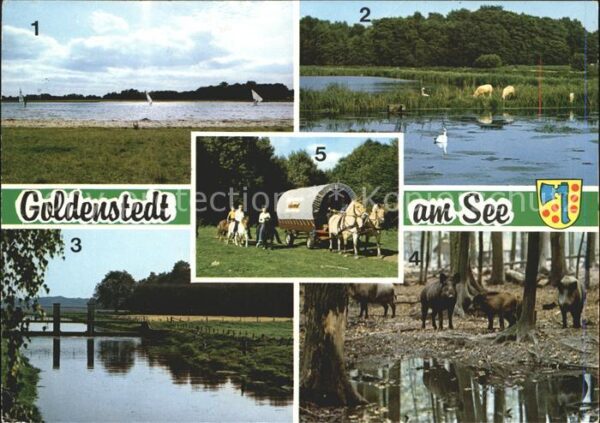 Goldenstedt Badesee Camping Fischteiche Angler Hunt